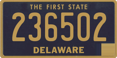 DE license plate 236502