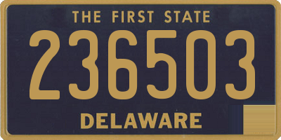 DE license plate 236503
