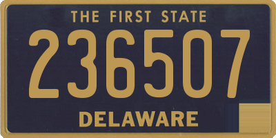 DE license plate 236507