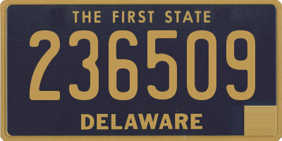 DE license plate 236509