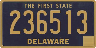 DE license plate 236513