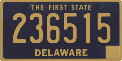 DE license plate 236515