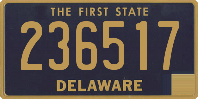DE license plate 236517