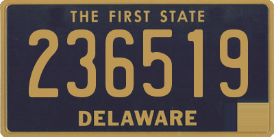 DE license plate 236519