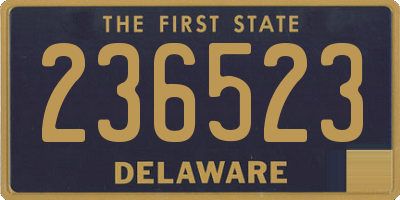 DE license plate 236523