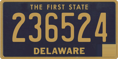 DE license plate 236524
