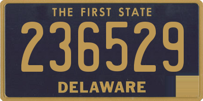 DE license plate 236529
