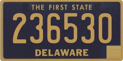 DE license plate 236530