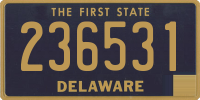 DE license plate 236531