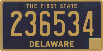 DE license plate 236534