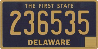 DE license plate 236535