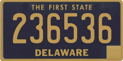 DE license plate 236536