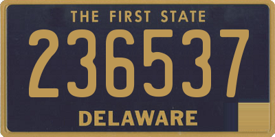DE license plate 236537