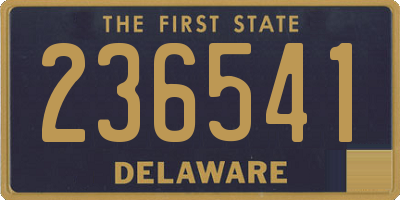 DE license plate 236541