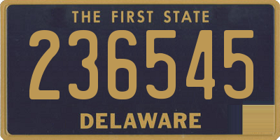 DE license plate 236545