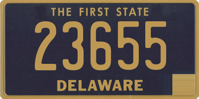 DE license plate 23655