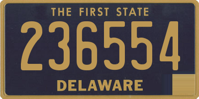 DE license plate 236554