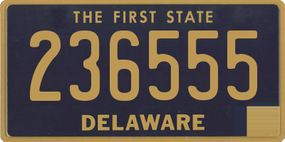 DE license plate 236555
