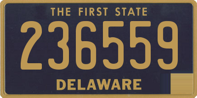 DE license plate 236559