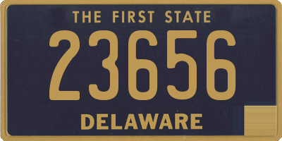 DE license plate 23656