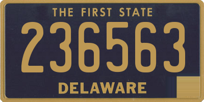 DE license plate 236563