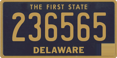 DE license plate 236565
