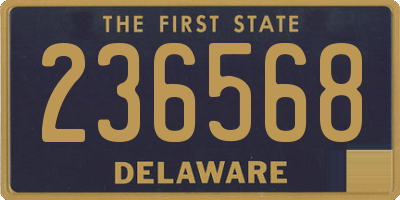 DE license plate 236568