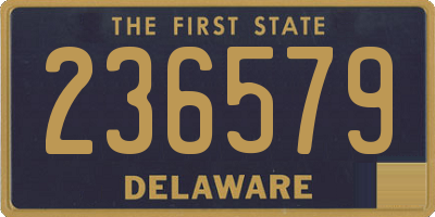 DE license plate 236579