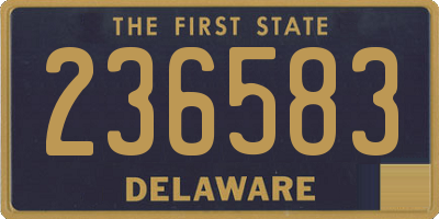 DE license plate 236583