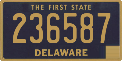 DE license plate 236587