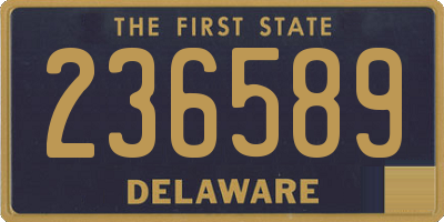 DE license plate 236589