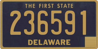 DE license plate 236591