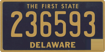 DE license plate 236593
