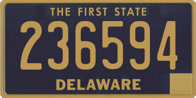 DE license plate 236594