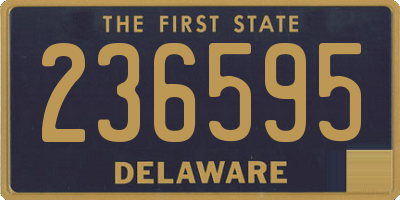DE license plate 236595
