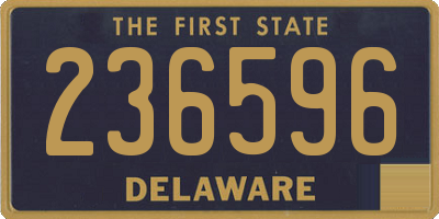 DE license plate 236596