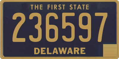 DE license plate 236597