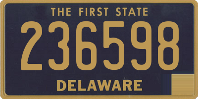 DE license plate 236598
