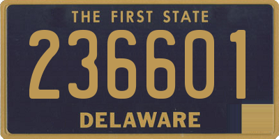 DE license plate 236601