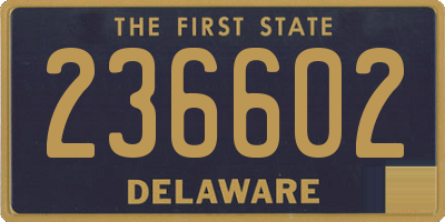 DE license plate 236602