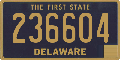 DE license plate 236604