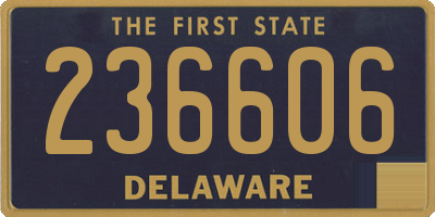 DE license plate 236606