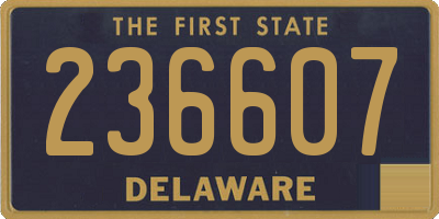 DE license plate 236607