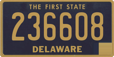 DE license plate 236608