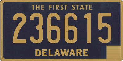 DE license plate 236615