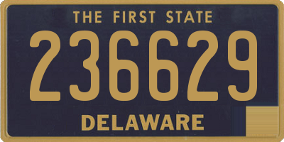 DE license plate 236629