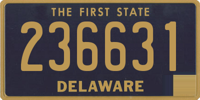 DE license plate 236631
