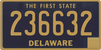 DE license plate 236632