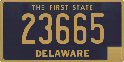 DE license plate 23665