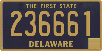 DE license plate 236661